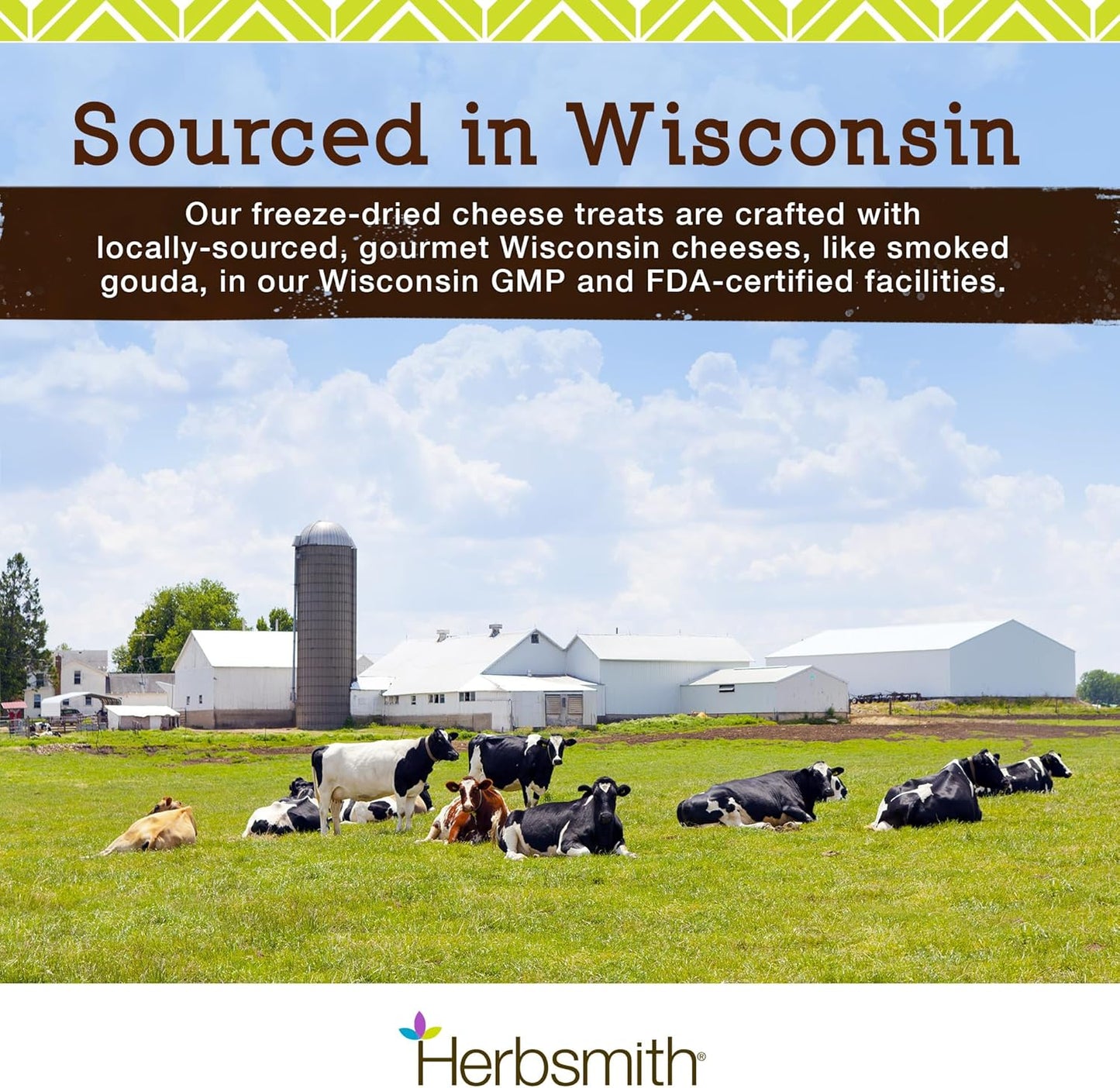 Herbsmith Smiling Dog Kibble Seasoning – Freeze Dried Cheese Food Topper - Gruyere – All Natural, Human-Grade Topper for Dogs - 6 oz