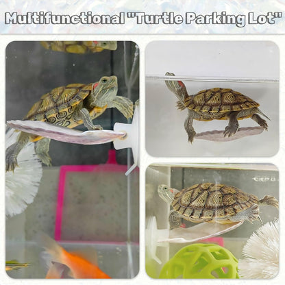 3PCS Betta Hammock Shells, Natural Small Fish Tank Decorations, Betta Fish Tank Accessories, Aquarium Decorations, Aquarium Hideout Habitat for Sleeping Resting Hiding Playing (Yellow)