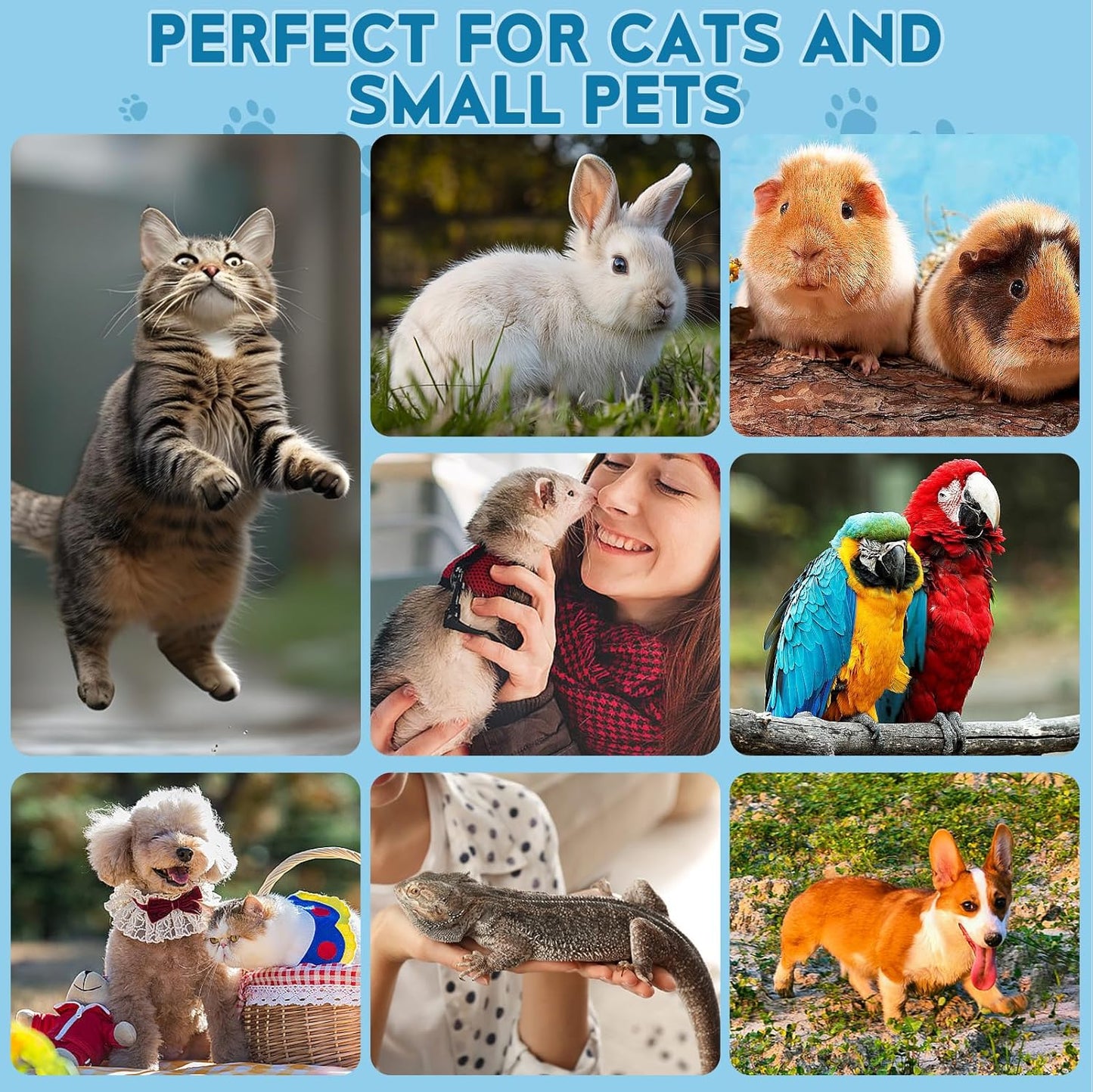 Cat Nail Clippers, Professional Pet Claw Clippers for Indoor Cats, Kittens, Small Dogs, Puppys, Birds, Rabbits, Safe Nail Trimmer and Grooming Tools for Small Animals Home Pets