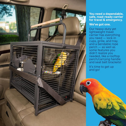 Prevue Pet Products Travel Carrier for Birds, Black 18.8"L x 14.9"W x 18.0"H