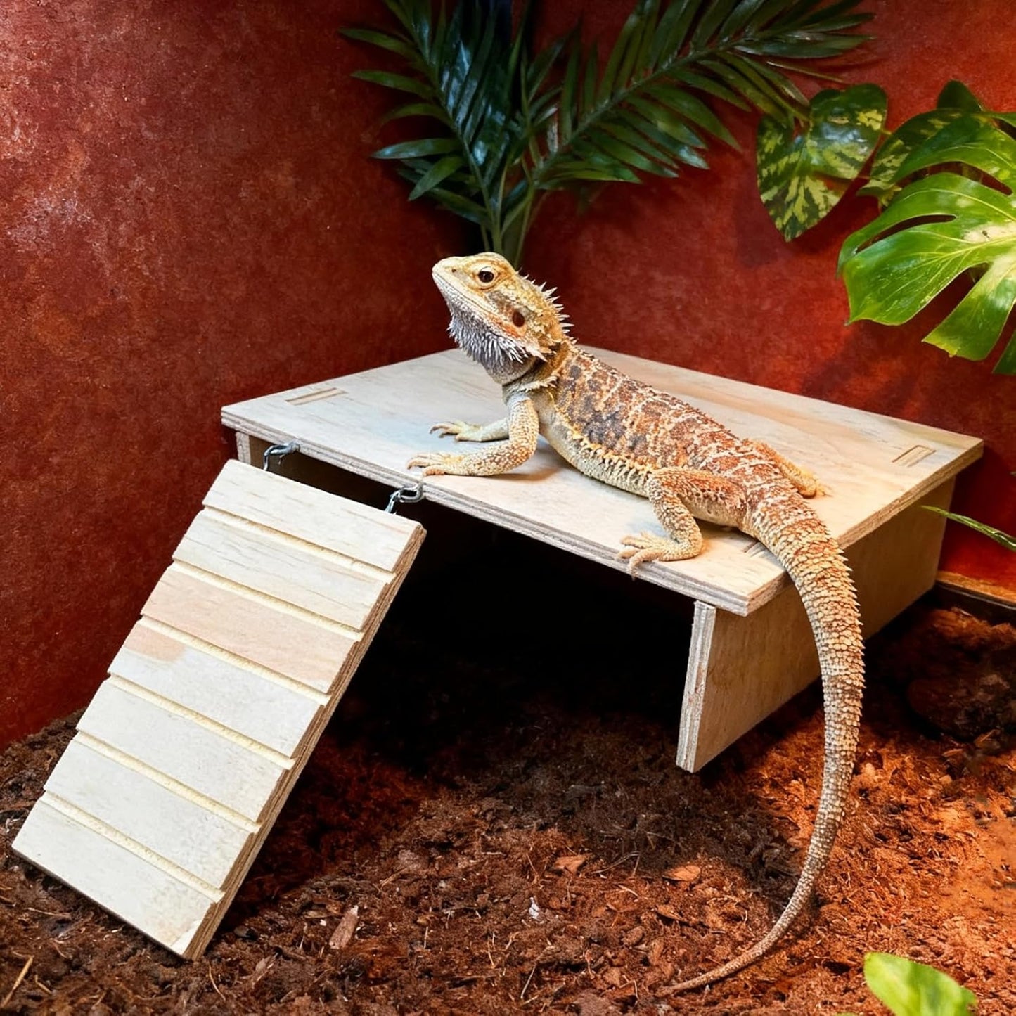 Bearded Dragon Tank Accessories, Assembled Wooden Hideout with Basking Platform and Ramp, Reptile Habitat Accessories for Bearded Dragon, Gecko, Snake, Skink and Other Small Animals