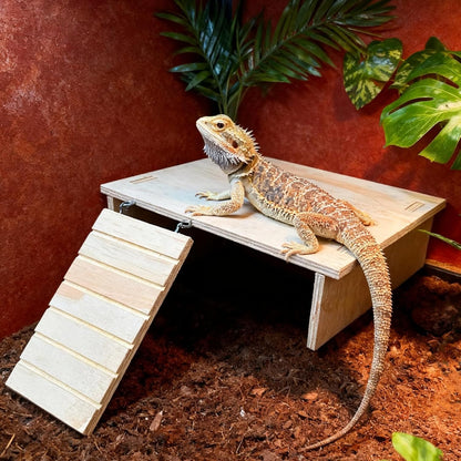 Bearded Dragon Tank Accessories, Assembled Wooden Hideout with Basking Platform and Ramp, Reptile Habitat Accessories for Bearded Dragon, Gecko, Snake, Skink and Other Small Animals