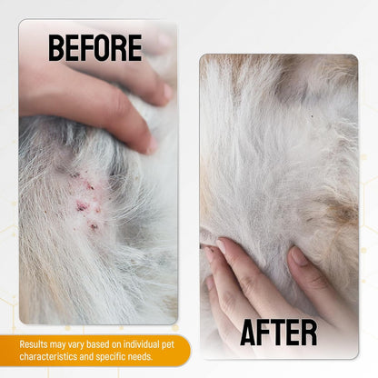 Hot Spot Treatment for Dogs Gel – Safe with Dog Cone – Colloidal Silver – No Antibiotic Ointment for Dog – Cuts, Rashes, Irritations & Bites – Honey Wound Repair Gel – All Breeds – 2 Pack Set x 2 oz