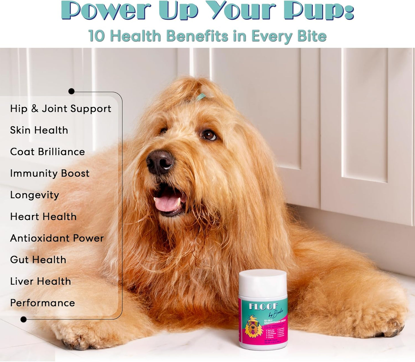 Floof by Brodie 10-in-1 Multivitamin Supplement: Dog and Puppy Vitamin with Joint Health Support MSM and Glucosamine HCL, Heart Health Coenzyme Q10, Probiotics, Collagen, Biotin - 60 Chews (6.35 oz)
