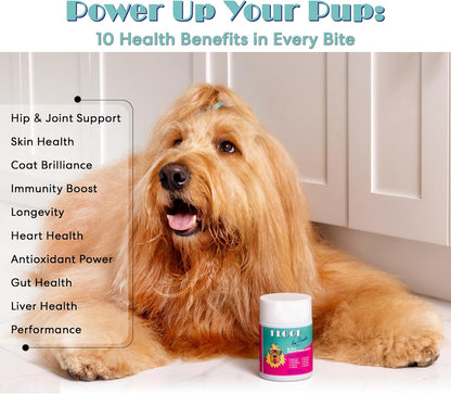 Floof by Brodie 10-in-1 Multivitamin Supplement: Dog and Puppy Vitamin with Joint Health Support MSM and Glucosamine HCL, Heart Health Coenzyme Q10, Probiotics, Collagen, Biotin - 60 Chews (6.35 oz)