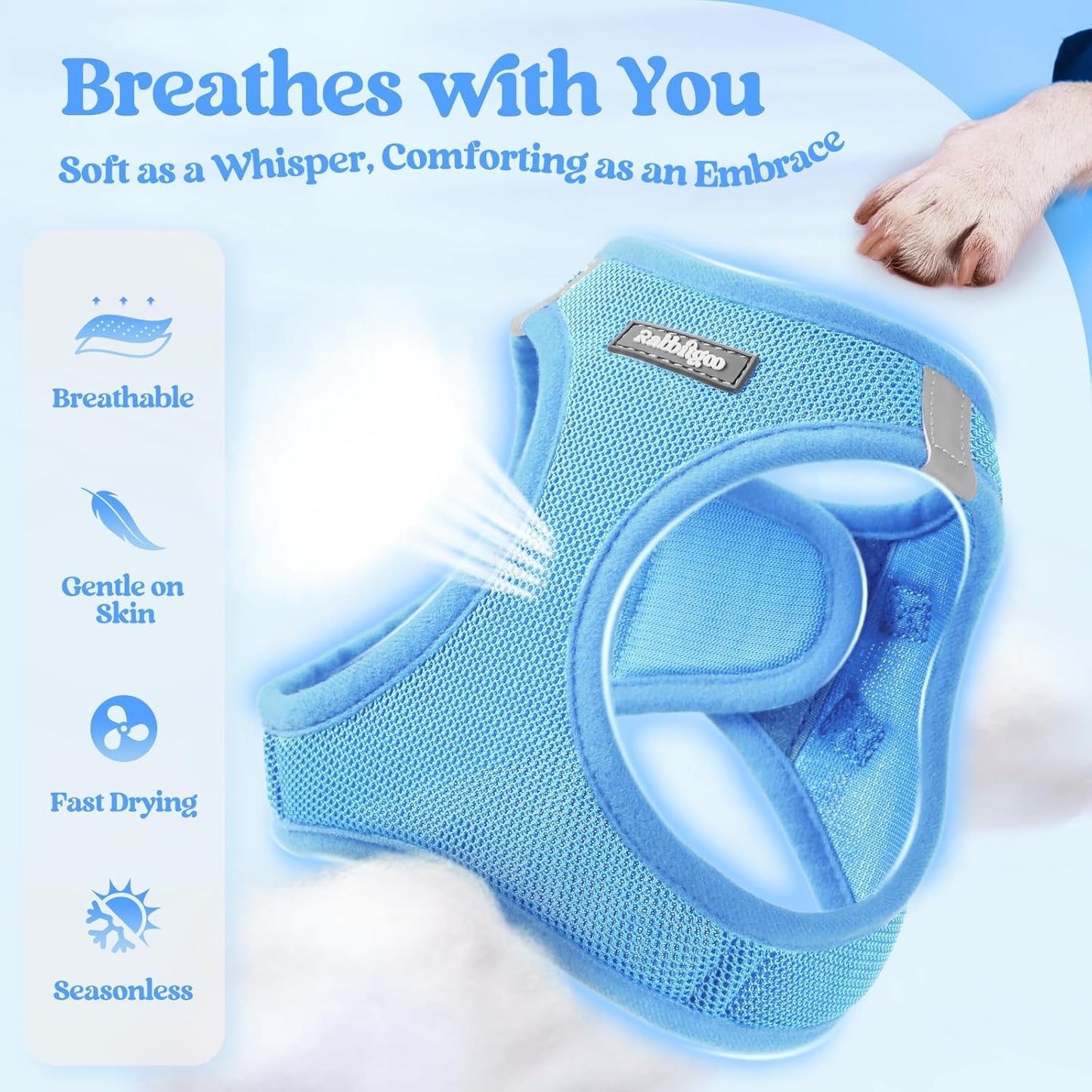 rabbitgoo Dog Harness Small Sized and Leash Set, Step in Soft Light Puppy Vest, Breathable Mesh Pet Harness, Reflective for Safe Easy Walking, Blue M