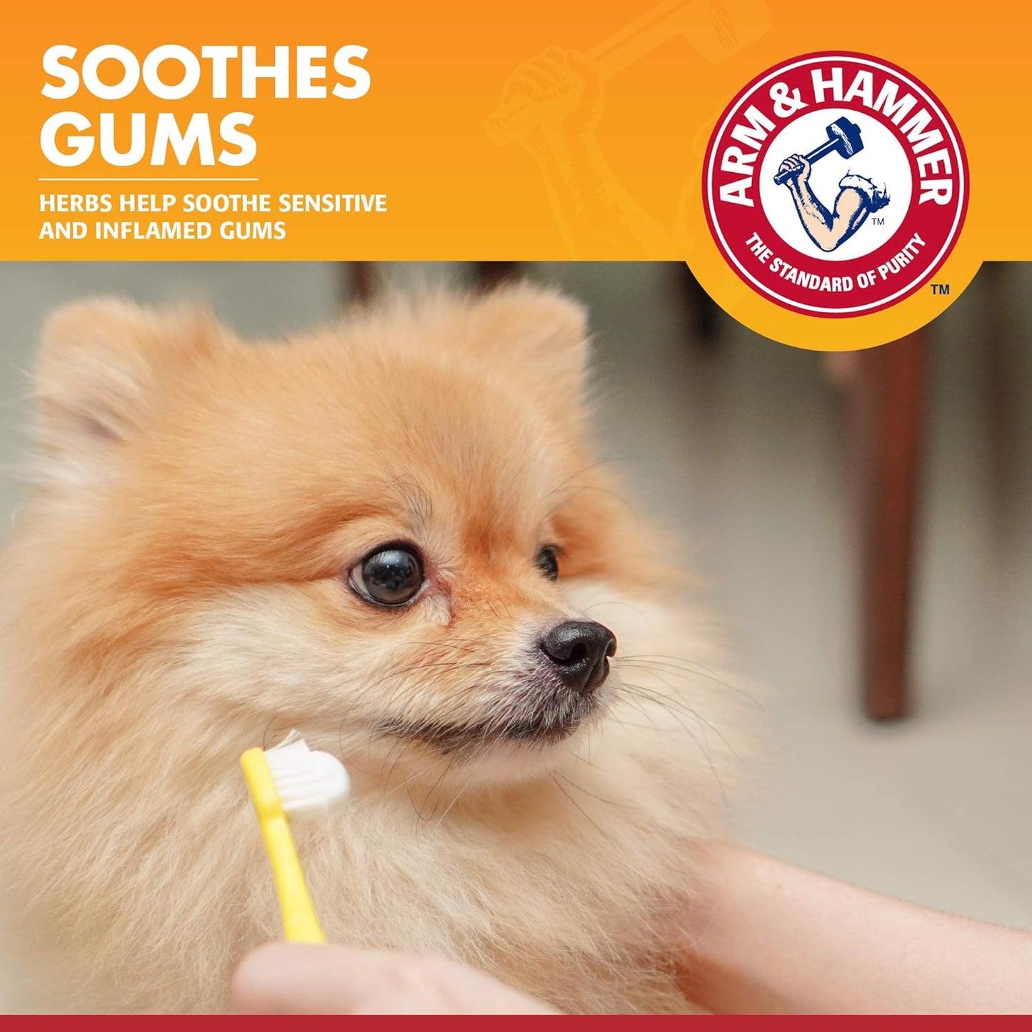 Arm & Hammer for Pets Clinical Care Enzymatic Toothpaste for Dogs | Soothes Inflamed Gums | Dog Toothpaste Enzymatic, Chicken Flavor, 2.5 Oz | Arm and Hammer Toothpaste for Dogs, Dog Dental Care