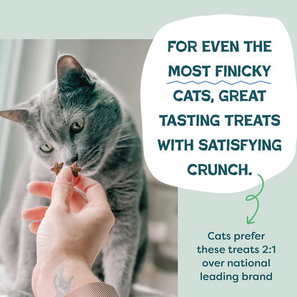 Shameless Pets Crunchy Cat Treats - Kitty Treats for Cats with Digestive Support, Natural Ingredients for Kittens, Healthy Flavored Feline Snacks - Variety Pack, 3-Pk