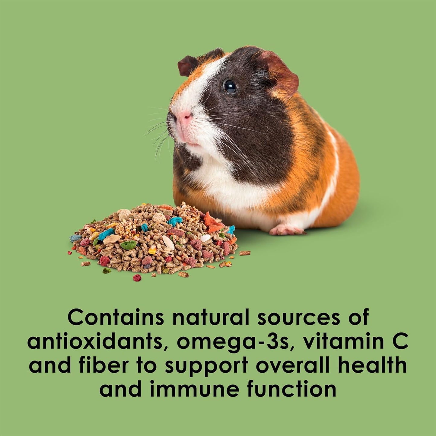 Kaytee Fiesta Guinea Pig Food, Nutritious and Fun Blend, Supports Dental Health and Digestion, 4.5 pounds