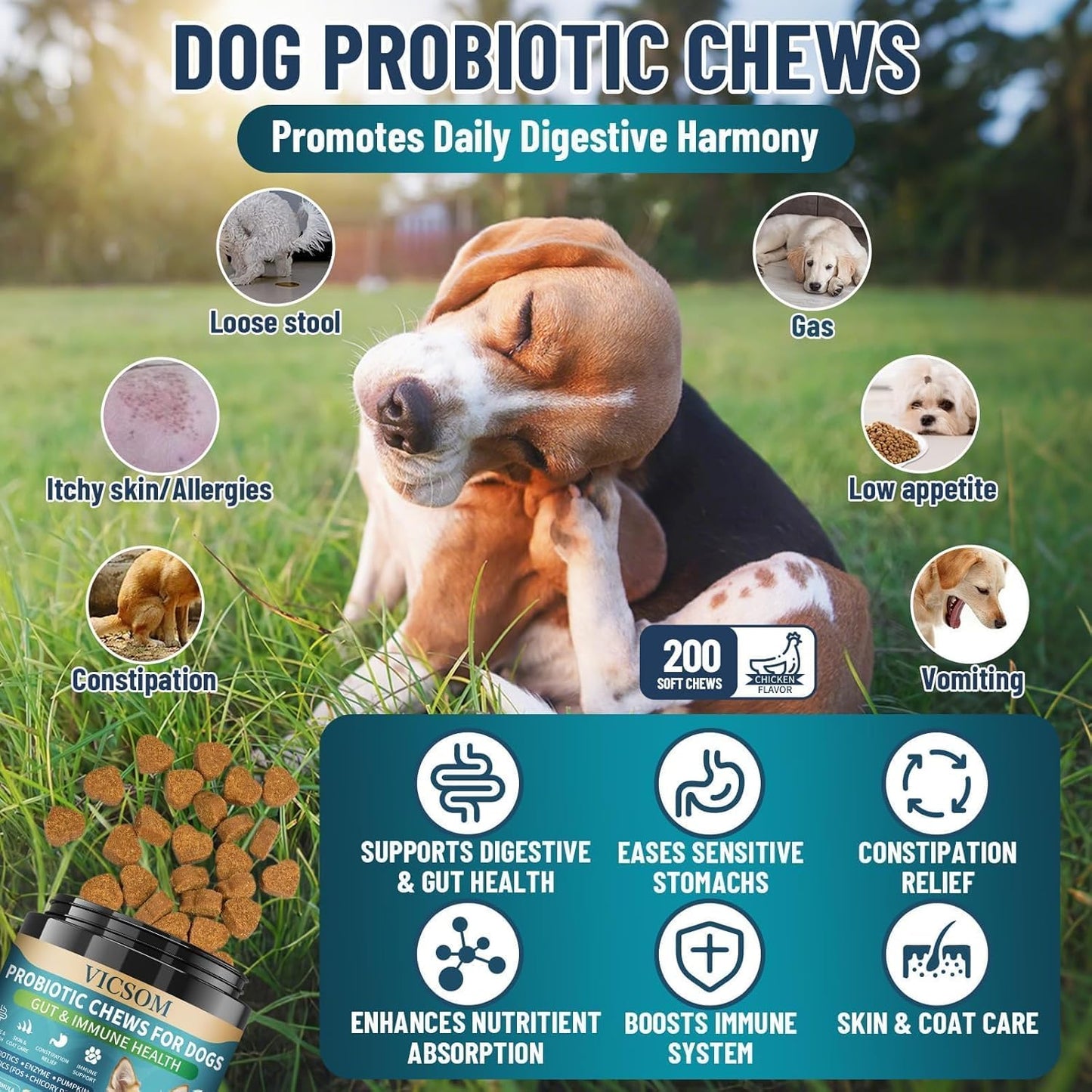 Dog Probiotics for Dogs, 200 Soft Probiotics Chews for Dogs Digestive Health Gut Health & Immune System, with 6 Probiotics & Digestive Enzymes, Support Itchy Skin, Constipation & Diarrhea Relief