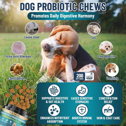 Dog Probiotics for Dogs, 200 Soft Probiotics Chews for Dogs Digestive Health Gut Health & Immune System, with 6 Probiotics & Digestive Enzymes, Support Itchy Skin, Constipation & Diarrhea Relief