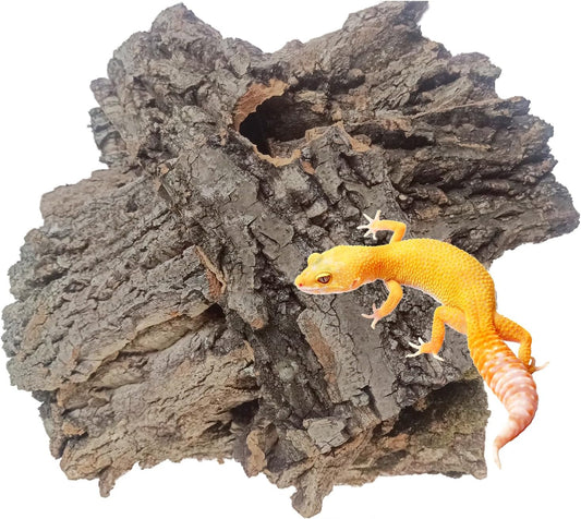 Reptiles Cork Bark Bits Substrate,1 LB Terrarium Bark Bedding Bulk for Geckos Snake Isopods Bearded Dragon Spiders Lizard Tarantula Hermit Crabs
