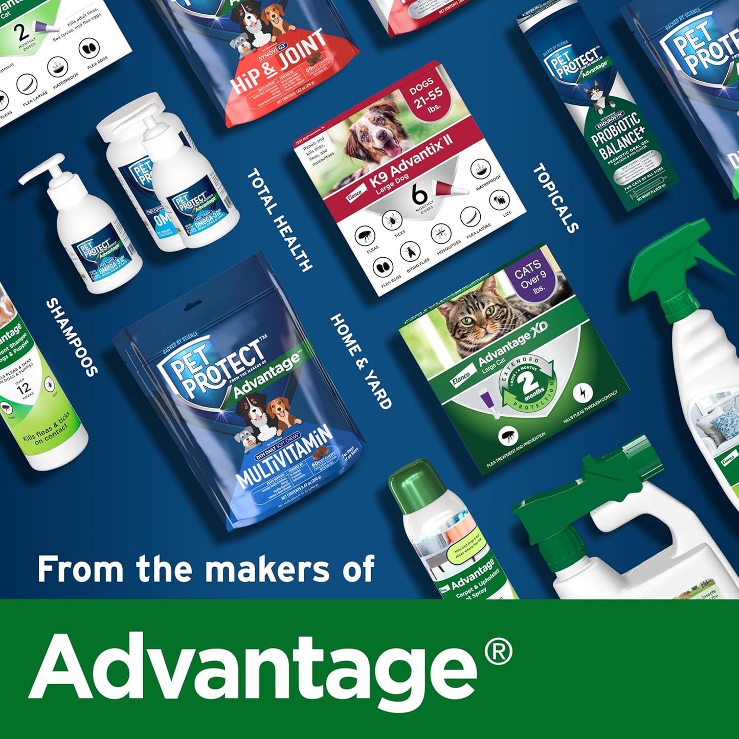 Pet Protect Digestive Health Supplement with Probiotics for Dogs, Vet-Formulated Lactoquil, Chicken-Flavored Soft Chews (60 Count)