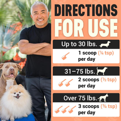 Better Dog Supplements Happy-Go-Lucky Belly by Cesar Millan – Natural Digestive Support Powder for Dogs – Upset Stomach Relief, Gut Balance & Regularity with Herbal Fiber Blend – 4oz (60-Day Supply)