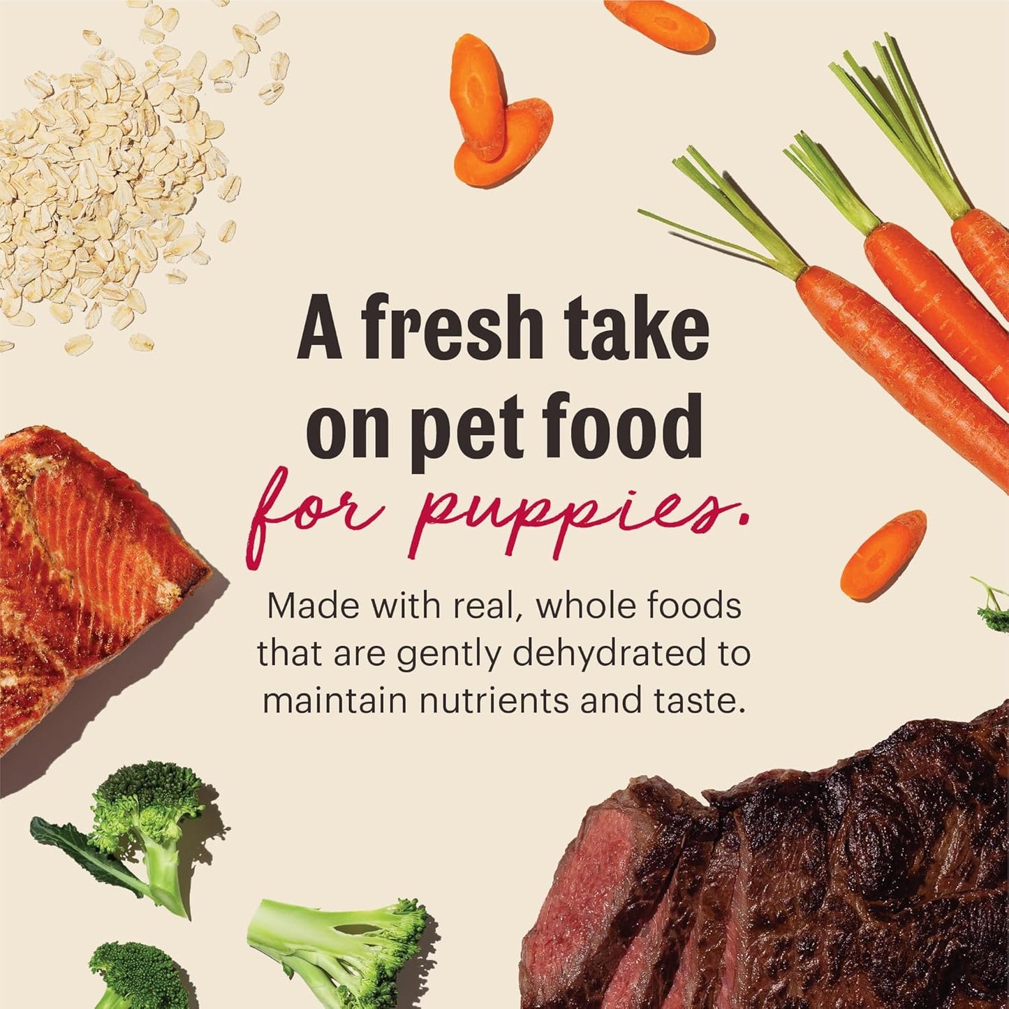 The Honest Kitchen Human Grade Wholemade™ Whole Grain Beef & Salmon Dehydrated Puppy Dog Food, 2lb Bag (Makes 8lbs)