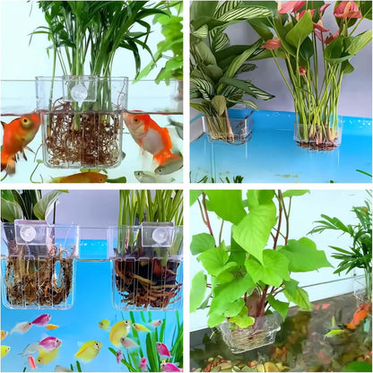 ARREBOL 2 Pack Clear Aquarium Plant Holder Top Hanging Fish Tank Plant Holders Fits up to 0.8in Tank Edges