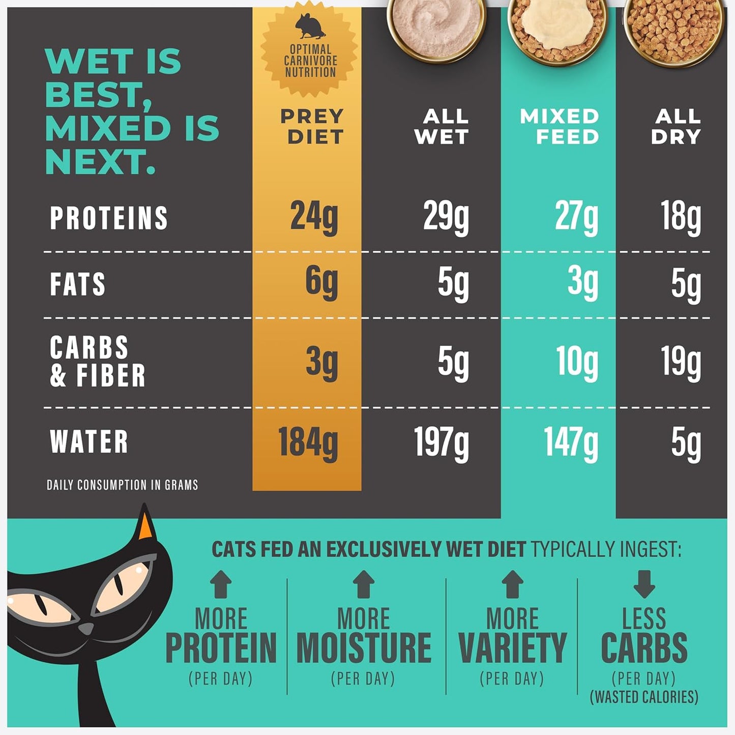 Tiki Cat Solutions Topper, Skin + Coat, Salmon Recipe in Broth, 1.5 oz. Pouch (12 Count)