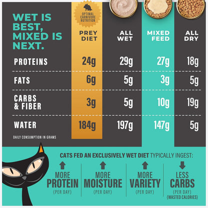 Tiki Cat Solutions Topper, Skin + Coat, Salmon Recipe in Broth, 1.5 oz. Pouch (12 Count)