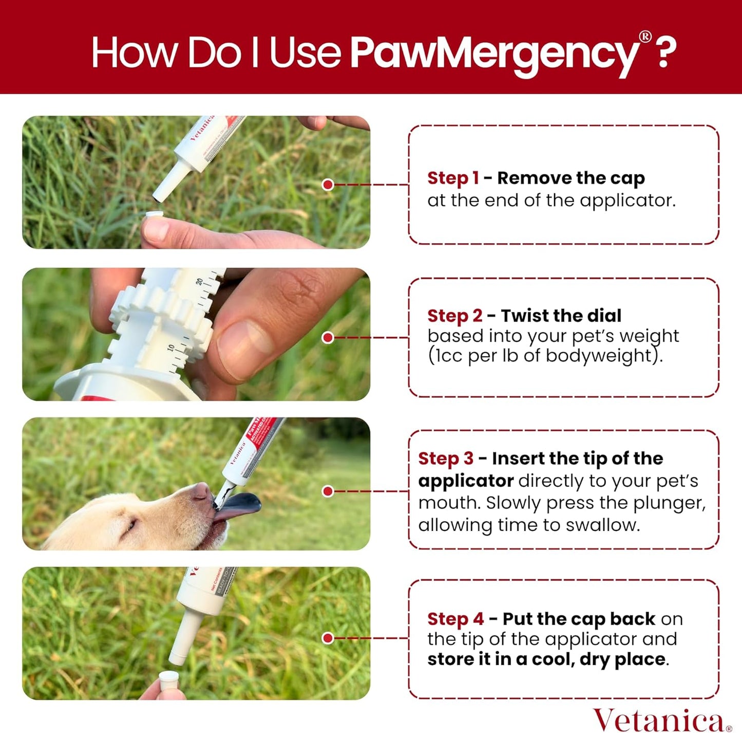 PawMergency – Activated Charcoal First Aid Kit Emergency Rescue 4 Pack for Dogs, Cats, Puppy & Pet Poison Kit, Camping Survival Remedy Essential, Oral Anti Diarrhea Digestive Absorb Toxins (30mL)