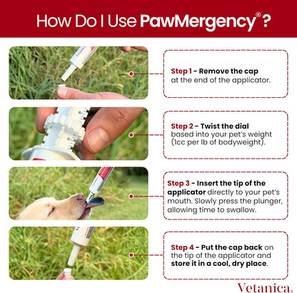 PawMergency – Activated Charcoal First Aid Kit Emergency Rescue 4 Pack for Dogs, Cats, Puppy & Pet Poison Kit, Camping Survival Remedy Essential, Oral Anti Diarrhea Digestive Absorb Toxins (30mL)