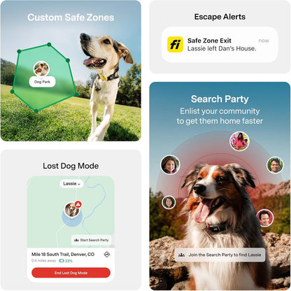 New Fi Series 3+ Smart Dog Tracker Collar [12 Month Membership Included] GPS Tracker for Dogs with Health & Behavior Monitoring, Escape Alerts, Waterproof, LED, Apple Watch Compatible (Gray, Medium)