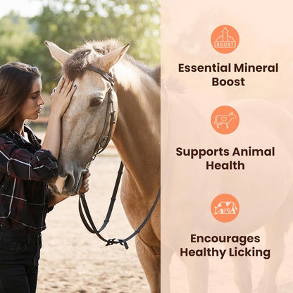 POHS Himalayan Animal Salt Lick, 8x4x2 Natural Mineral Salt Block, Pack of 1, 5.5 lbs