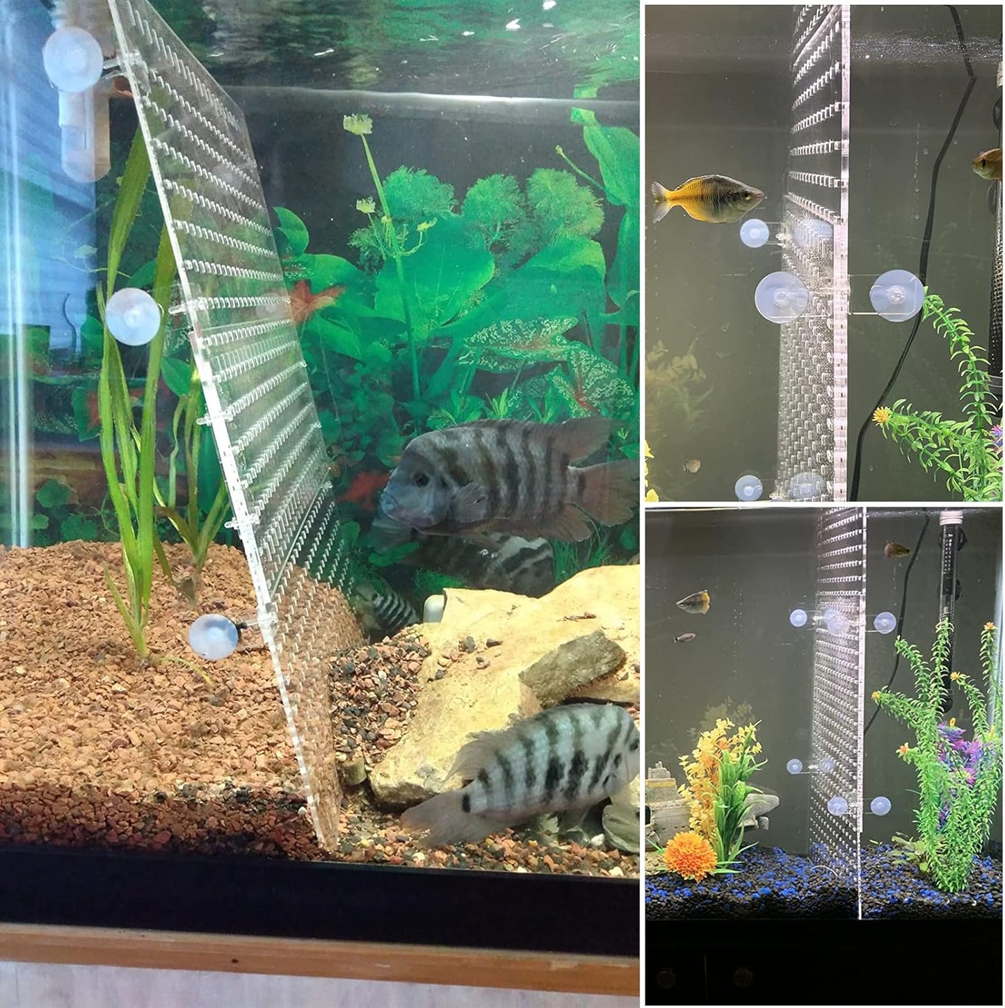 Acrylic Fish Tank Divider Aquarium Divider with 8 Suction Cups Transparent Fish Tank Separator Dividing Net Plate Isolation Board Flapper, 9.84 * 11.81inch