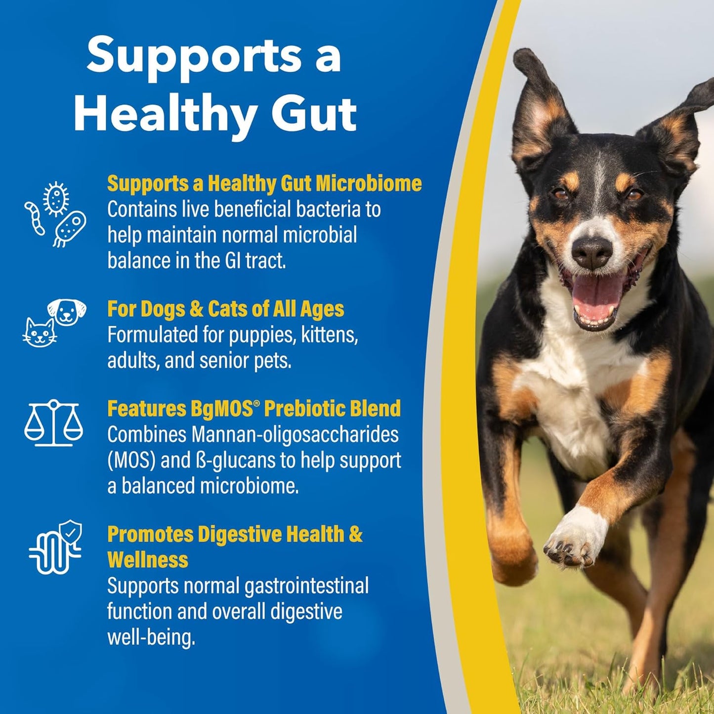 Doc Roy’s GI Synbiotics Probiotic & Prebiotic Granules for Dogs & Cats, Digestive & Immune Health Supplement with Live Cultures, BgMOS & Beta Glucans, Chicken Flavor, 454g Granules