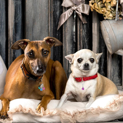 10 pcs Pet Bells for Dog Cat Collar, Metal Round Collar Charms Loud Crisp Sound with Clasps, Kitten Small Animal Pendant Accessories, Christmas Decoration Jingle Bell(Colourful)