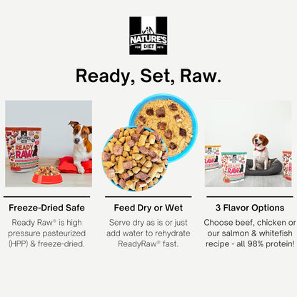 Nature's Diet® Ready Raw® Freeze-Dried Raw Dog Food, Beef, Human Grade, High Pressure Pasteurized (HPP), 96% Meat, Organ, Bone, Safe & Natural, Dry or Wet Feeding