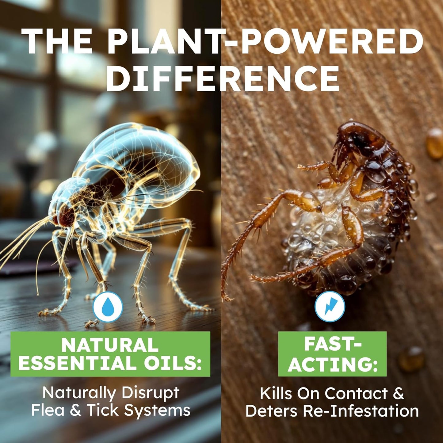 BugMD Pet Safe Flea Spray for Cats & Home | Natural Indoor Flea Killer & Tick Prevention | Plant-Based Flea Treatment for Carpet, Furniture & Cat Trees with Essential Oils