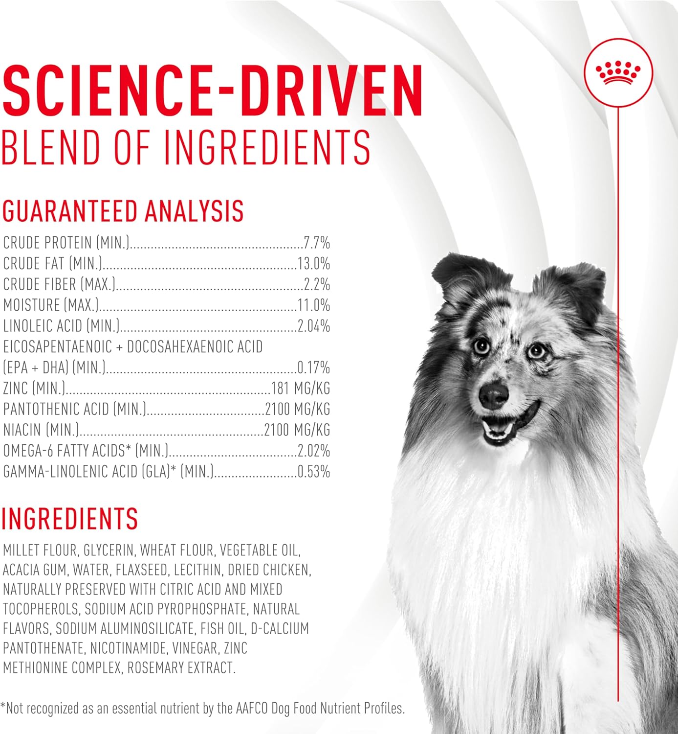 Royal Canin Skin & Coat Dog Supplement Soft Chews for Adult Dogs, 60 Count (Pack of 4)