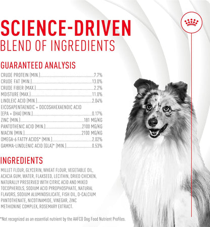 Royal Canin Skin & Coat Dog Supplement Soft Chews for Adult Dogs, 60 Count (Pack of 4)