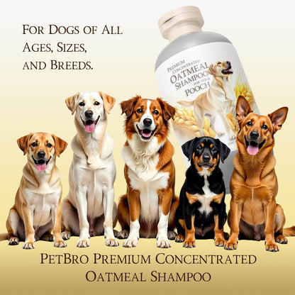 Premium Concentrated Oatmeal Dog Shampoo with Coconut and Aloe (17 oz) - Soothing and Itch Relief, Moisturizes Dry Skin