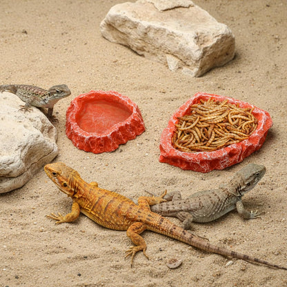 Frcctre 4 Pack Reptile Food Dish with Feeding Tongs, Resin Reptile Water Dish Food Bowl Feeding Terrarium Bowl for Leopard Gecko Lizard Tortoise Hermit Crab Bearded Dragon Chameleon, Orange