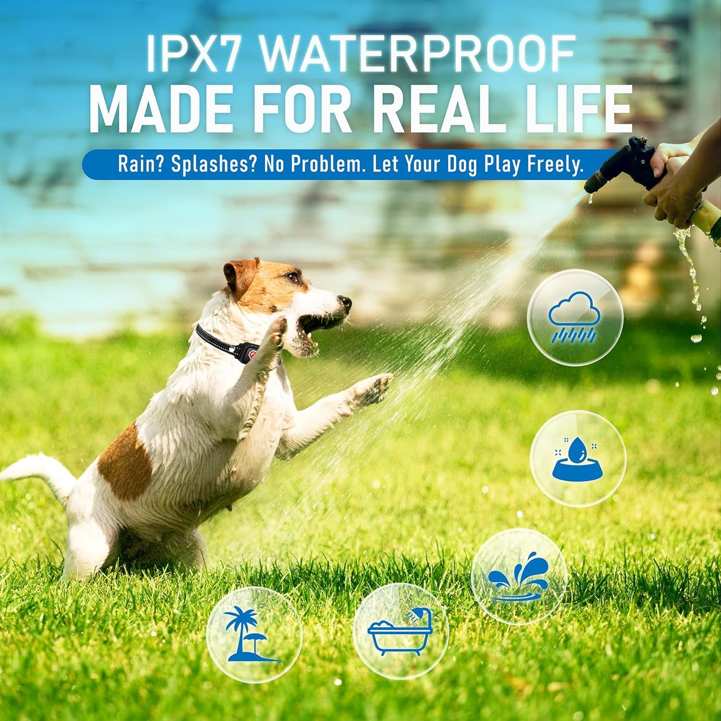 2 Pack Bark Collar for Small Dogs 5-15 lbs with Magnetic Charging – No Shock, 3 Beep & Vibration Modes, 5 Sensitivity Levels – Humane Stop Anti-Barking Device – Dog Training Bark Collar (Black/RH)