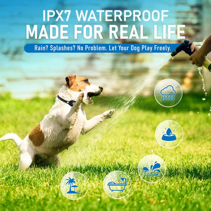 2 Pack Bark Collar for Small Dogs 5-15 lbs with Magnetic Charging – No Shock, 3 Beep & Vibration Modes, 5 Sensitivity Levels – Humane Stop Anti-Barking Device – Dog Training Bark Collar (Black/RH)