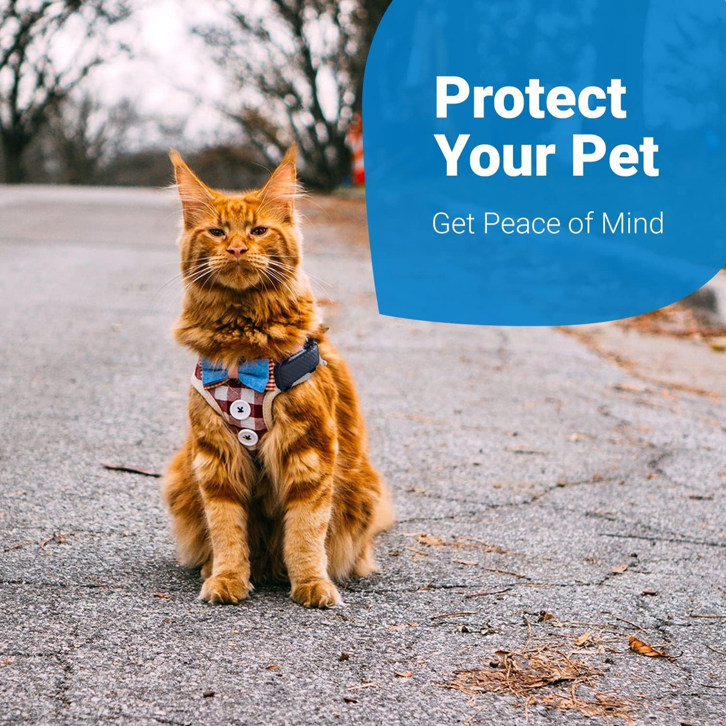 Tractive GPS Cat 4 Tracker Harness Attachment, for Cat Walks with Peace of Mind, Velcro Straps, Black (Pack of 2)