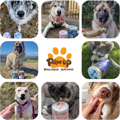 PAWUP Freeze Dried Minnows Dogs Treats – 100% Raw Single-Ingredient Pet Fish Snacks – Rich in Omega-3, Grain-Free – Healthy Training Rewards & Meal Toppers, 2.8 oz