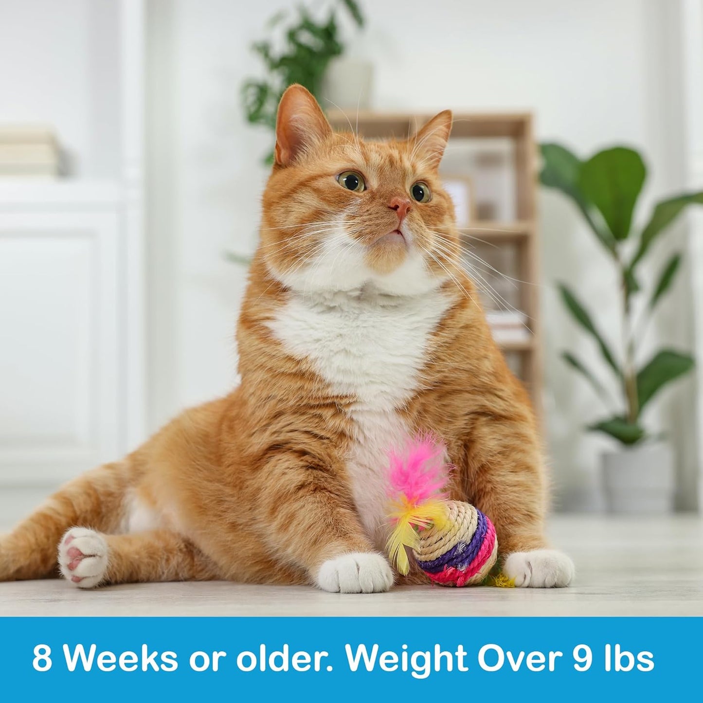 Topical Flea and Tick for Large Cats: Waterproof Topical Cat Flea and Tick – Fast-Acting & Long-Lasting at Home Control for Cats Over 9 lbs and 8 Weeks or Older – 6-Dose Supply