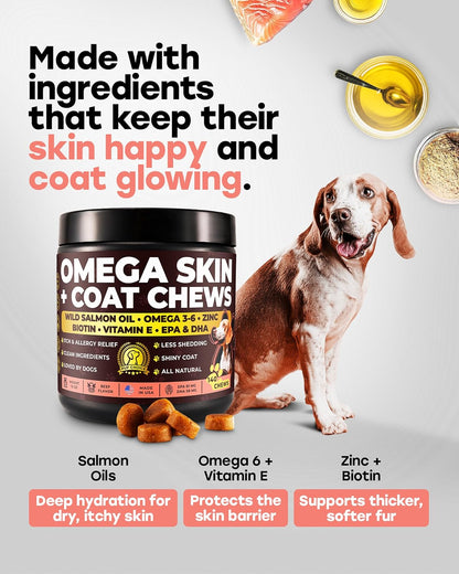 Probiotic + Omega-3 Dog Supplement Bundle — Daily Chews with Probiotics & Salmon Oil, Biotin & Zinc — Supports Digestive, Immune, Skin, Coat & Joint Health — 140 + 140 Chews