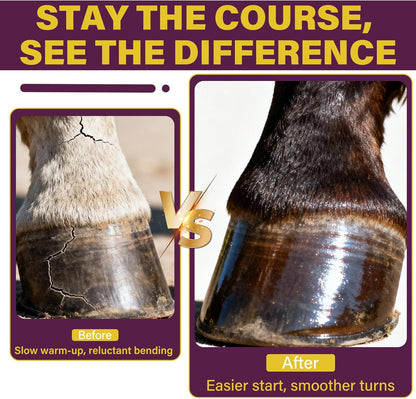 Hoof Supplements for Horses, Horse Supplies, Strengthener with MSM, Horse Health - Supports Strong Hooves and Optimal Growth，Keep Hoof Healthy-150 Chews