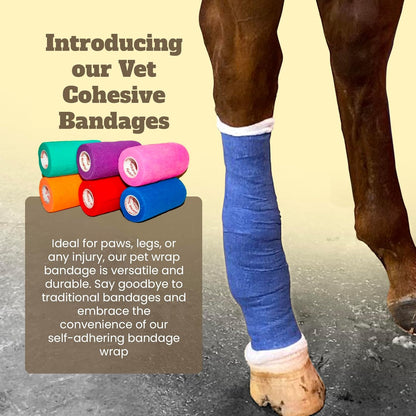 Prairie Horse Supply 24 Rolls Assorted Self Adhesive Bandage Wrap 4 Inch Elastic Cohesive Vet Tape for First Aid, Medical, Sport & Animals Wound