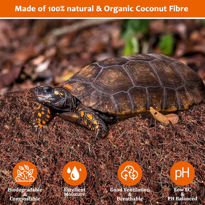 Riare 2 Pack Natural Coconut Fiber Substrate for Reptile- Premium Compressed Coconut Husk Terrarium Bedding for Reptile, Tortoise, Frogs, Snakes Hermit Crabs, Burrowing Animals