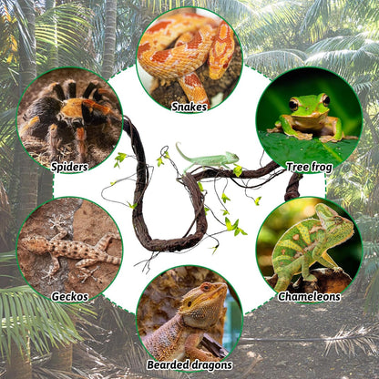 VCEPJH Reptile Bark Bedding,1 LB Natural Cork Bark for Geckos and Large Reptile Vines Thick Terrarium Plants 118 Inches Long Flexible Climbing Branch Bearded Dragon Chameleon Gecko Frog Lizard