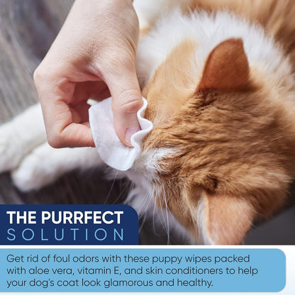 MAGICARE Pet Wipes (400 ct) + Alcohol Wipes (4×80 ct) Combo Pack