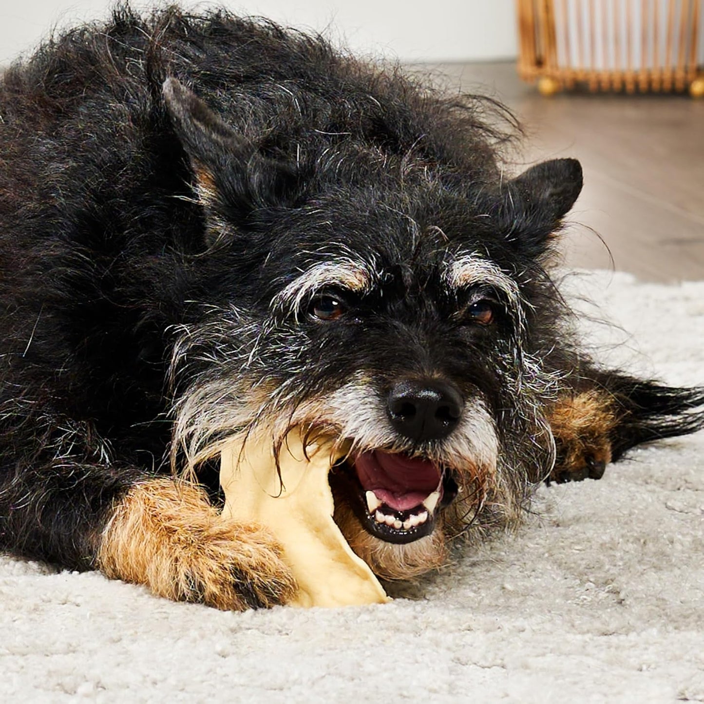 USA Collagen Chips Assorted Dog Chew Treats - Natural Flavor, 14oz/1 Pack