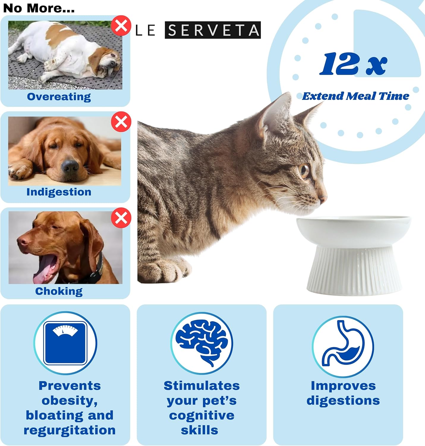 2 Pack Ceramic Slow Feeder Cat Bowl, Raised Puzzle Feeder, Anti-Vomiting, Elevated Food Bowl, Whisker Friendly (Blue, Pink)