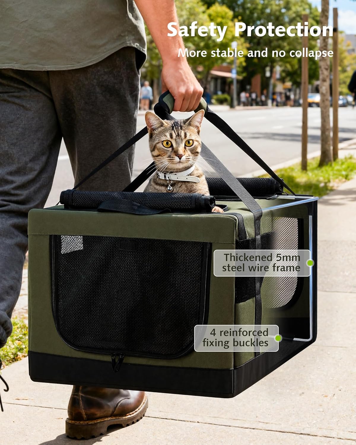 Pecute Cat Backpack Carrier + Cat Carrier for 2 Cats