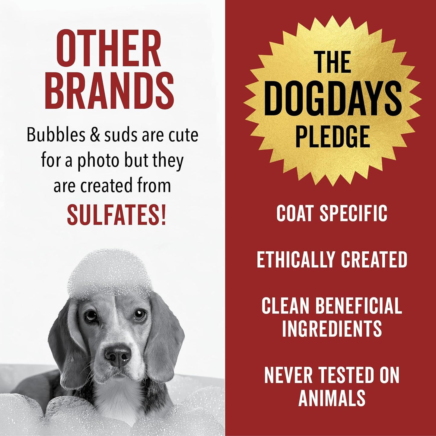 Pride and Groom DogDays No Rinse Quick Cleaning Shampoo | Waterless Foaming Dry Shampoo for Dogs & Cats | Odor-Eliminating, Hypoallergenic Pet Cleanser | 8 fl oz | Made in USA